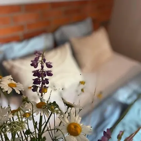 Apartment Naturalnietu *