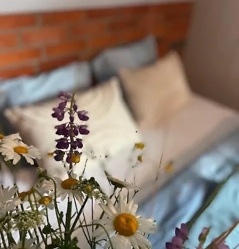 Apartment Naturalnietu *